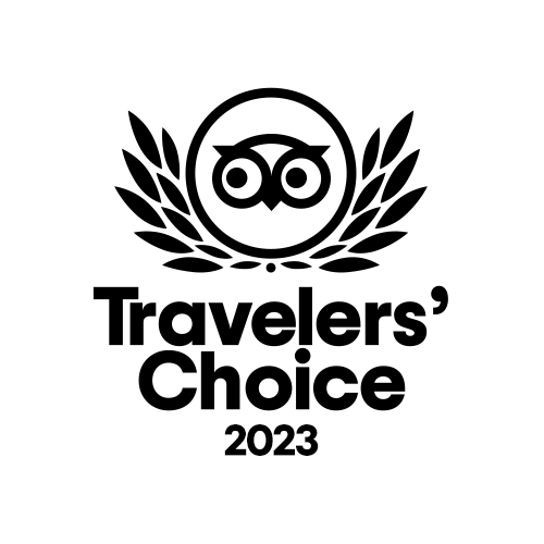 Animation TC 2022